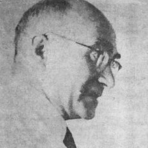 Jerzy Konorski